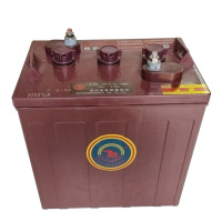 ZHIMING电动车环卫车巡逻车用蓄电池3-DG-180(3-EV-160)(只)