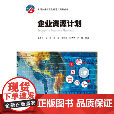 企业资源计划 (中国企业信息化理论与实践丛书)