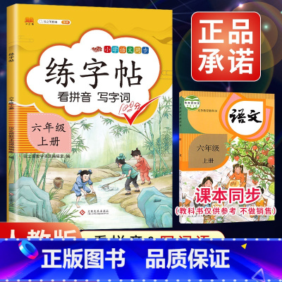 6上》练字帖 [正版]2023新版二年级下册同步练字帖三四五六年级一年级下册同步字帖人教版上册语文汉字生字本笔顺笔划拼音