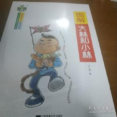 正版新书]图解《大林和小林》。张天翼9787559424402