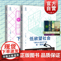 看日本 下流社会/低欲望社会 大前研一 三浦展著作集上海译文出版社外国纪实文学