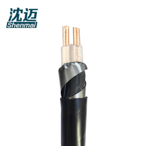 沈迈 铜芯铠装电缆 ZC-YJV22-2*6平方 1米