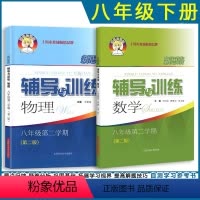 数学+物理 八年级下 初中通用 [正版] 新思路辅导与训练 数学物理化学 六七八九年级上下册数理化配套教辅上海科学技