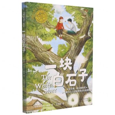 [N]一块白石子/国际大奖少儿成长书系-9787570217724