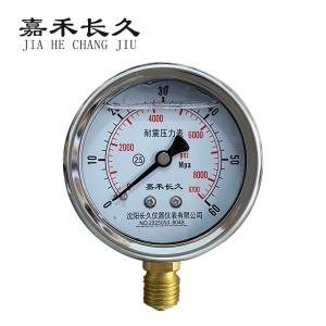 嘉禾长久 耐震压力表检测型 YTN60 块