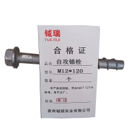 钺瑞自攻锚栓M12*120/个