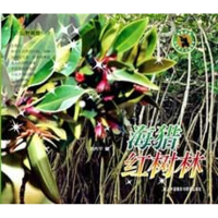 正版新书]海猎红树林刘先平.9787560094724