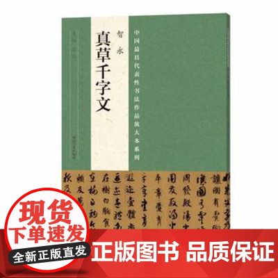 正版 中国代表性书法作品放大本系列 智永《真草千字文》 张海 河南美术
