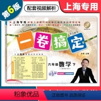 数学 六年级下 [正版]2024版 一卷搞定六年级下 数学 6年级下册 第6版 上海小学教辅配套同步单元期中期末综合专项