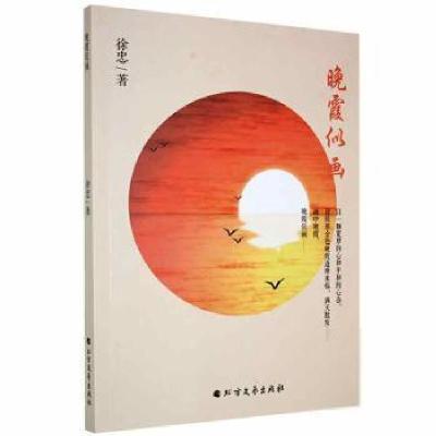正版新书]晚霞似画徐忠北方文艺出版社9787531751410徐忠著97875