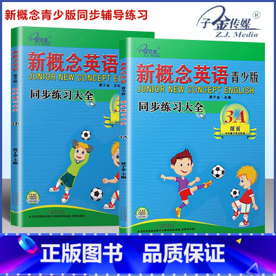 [套装2本]3A+3B 同步练全 小学通用 [正版]子金传媒新概念英语青少版同步练全入门级A+B测试卷阶段巩固练
