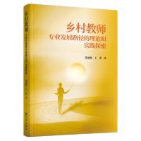 正版新书]乡村教师专业发展路径的理论和实践探索陈丽敏、王瑾