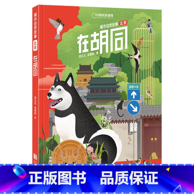 [正版]在胡同 北京城市自然故事 科普读物北京城市胡同自然观察生物动物植物行为分布宠物异宠鱼昆虫犬类羽毛流浪猫绿化带观