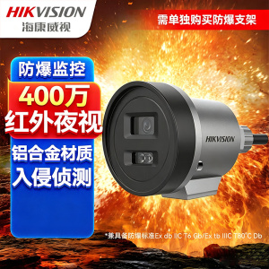 海康威视防爆监控摄像头400万超清全彩夜视室内外摄像机监控器POE供电手机远程2XE3040WD-DX 2.8MM