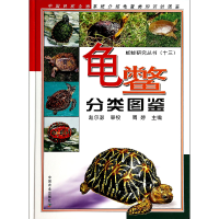 音像龟鳖分类图鉴(精)周婷编