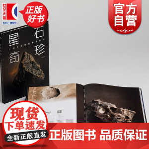 星石奇珍 上海天文馆藏精品陨石精选图册 银河系艺术指南上海书画出版社艺术鉴赏