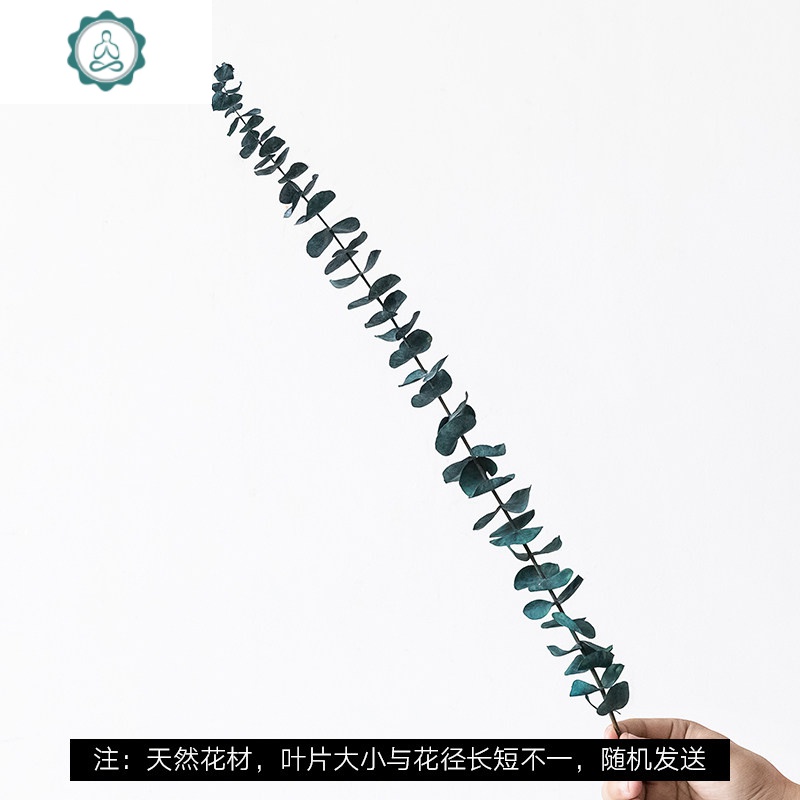 尤加利叶干花束客厅摆设干树枝装饰永生花植物标本ins风假花摆件 封后