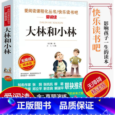 [正版]爱阅读/语文课外阅读名著 大林和小林 无障碍精读版非注音 分级阅读名师全程助读 中小学青少年课外书阅读儿童经典