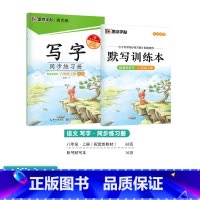 [写字同步练习册]8年级上(描红) [正版]初中生字帖练字七年级八年级上册练字帖每日一练古诗文中学生楷书钢笔练字本硬笔书