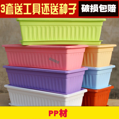 花盆种植箱阳台种菜盆加厚花箱塑料花长方形配托盘蔬菜多肉种植盆家庭楼顶新料粉色+托盘大号长50cm宽20cm高14cm