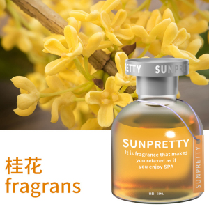 [补贴10%]车载香薰汽车香水车用高级感香氛车内除异味孕妇婴儿可用淡香邂逅