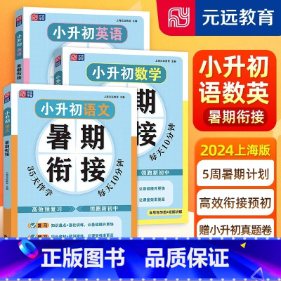 小升初 语数英 全3本 [正版]小升初暑假衔接语文数学英语暑期衔接名校小升初真题卷同步基础知识梳理阅读技巧掌握小升初总复