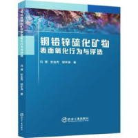 音像铜铅锌硫化矿物表面氧化行为与浮选冯博,彭金秀,郭宇涛著