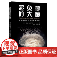 超负荷的大脑:信息过载与工作记忆的极限