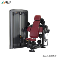 韦步LS509商用坐式肱二头肌手臂弯举练习肌肉专项训练局部型力量器械