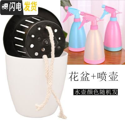 三维工匠懒人花盆自动吸水花盆绿萝用懒人盆特大水培自吸盆塑料吸水盆 盆+喷壶1个 m7[大号2个]+m5[中号花盆容器