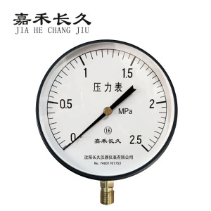 嘉禾长久 压力表检测型 Y200 块