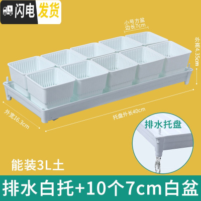 三维工匠美莳控根多肉花盆塑料套装组合创意透气肉肉控型盆器带托盘小花盆 [排水白托]+10个白盆(7cm盆) 小花盆容器