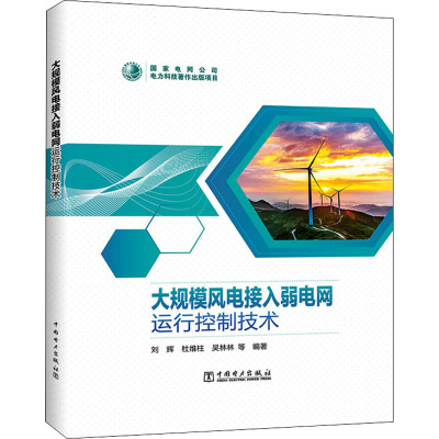 大规模风电接入弱电网运行控制技术