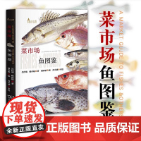 菜市场鱼图鉴 (自然观察丛书) 一读就懂 吴佳瑞赖春福著 全彩软精装 自然科学科普读物 商务印书馆 餐桌上的自然观察课