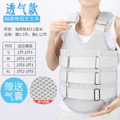 芬悦胸腰椎固定支具术后护腰支架胸背胸部脊柱外固定保护腰带护腰具透气款带气囊S