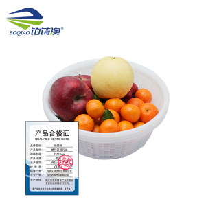 铂锜澳 塑料圆粗孔盆 /个