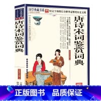 唐诗宋词鉴赏词典 [正版] 唐诗宋词鉴赏词典 文白对照 图文版 原文注释译文赏析 用文字和图片诠释华夏辉煌历史文明