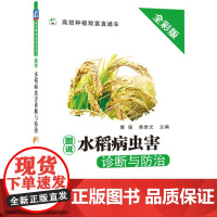 机工 图说水稻病虫害诊断与防治 傅强 黄世文 主编