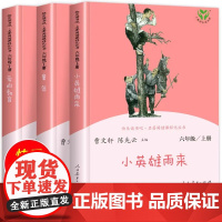 2025人教版]快乐读书吧六年级上册阅读课外书童年高尔基爱的教育小英雄雨来老师小学生六年级课外书必读人民教育出版社原著正
