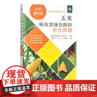 玉米病虫害绿色防控彩色图谱 王振营,石洁,朱晓明 扫码看视频·病虫害绿色防控系列 无污染防治 30049