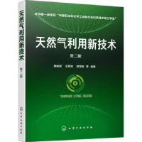 音像天然气利用新技术樊栓狮,王燕鸿,郎雪梅等编著