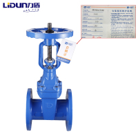 力盾 法兰明杆弹性座封闸阀 6541 DN150 台