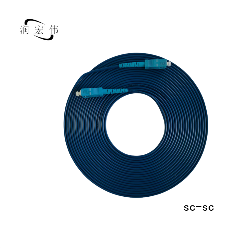 润宏伟 铠装 光纤跳线 尾纤(单模单芯) SC-SC-10m 条