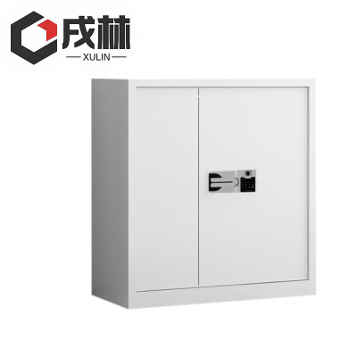 戌林 保密柜国宝密码锁/台