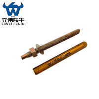 立伟铁牛化学锚栓M24×300/套