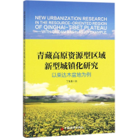 音像青藏高原资源型区域新型城镇化丁喜 著