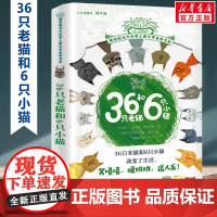 36只老猫和6只小猫 摆渡船当代世界儿童文学金奖书系 小学生二年级三年级课外书阅读书籍纽伯瑞获奖国外经典寒暑假书目新华