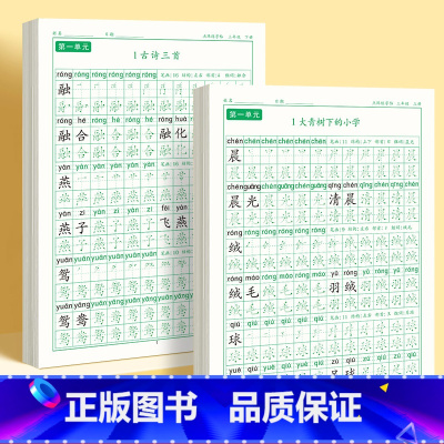 [上下册]同步字帖3年级 [正版]三年级上册同步练字帖语文人教版小学生钢笔硬笔书法练字本楷书笔画笔顺儿童铅笔描红练习写字
