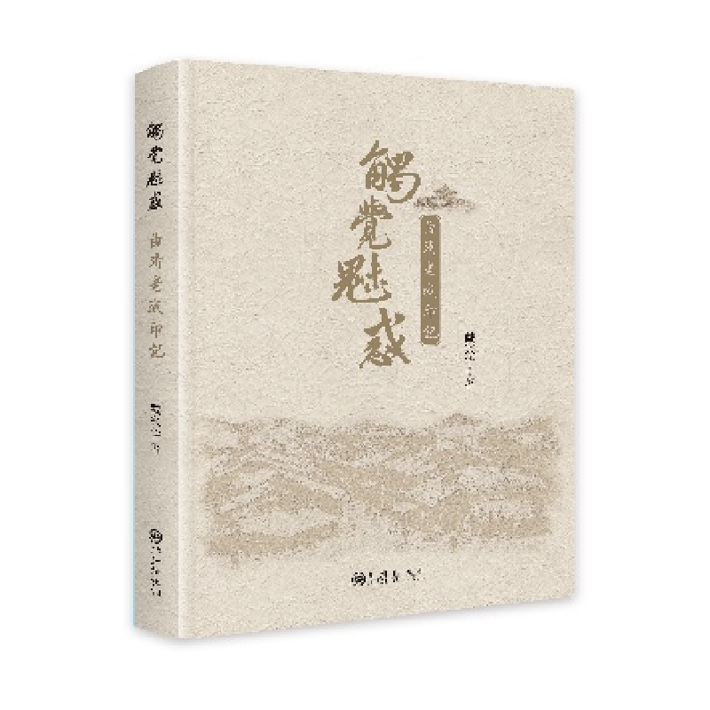 正版新书]触觉魅惑:曲靖老城印记戴兴华9787522531205