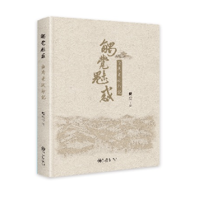 正版新书]触觉魅惑:曲靖老城印记戴兴华9787522531205